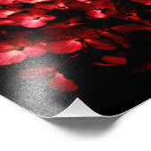 Red Flowers Bouquet in Black Background Photo Foto Afdruk (Hoek)