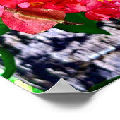 Red Flowers Garden Mexico Poster (Hoek)