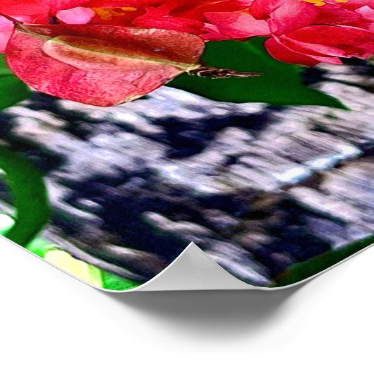 Red Flowers Garden Mexico Poster (Hoek)