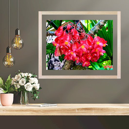 Red Flowers Garden Mexico Poster
