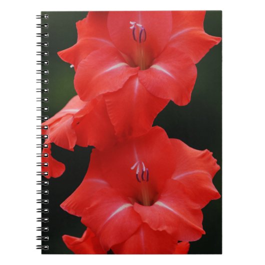 Red Flowers Journal-Notitieboek Notitieboek (Voorkant)
