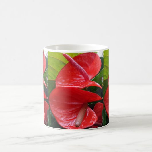 Red Flowers White Coffee Mok (Center)