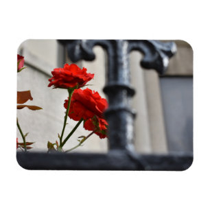 Red Flowers woedde Iron New York City fotografie Magneet