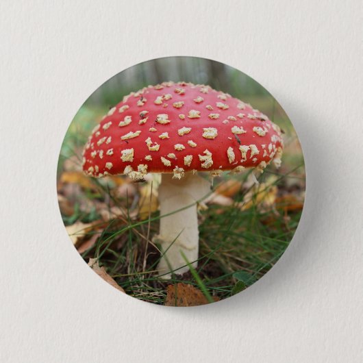 Red Fly Agaric Button (Voorkant)