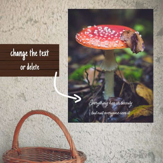 Red Fly Agaric Paddestoel in het bos Poster