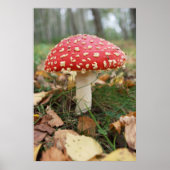 Red Fly Agaric Poster (Voorkant)