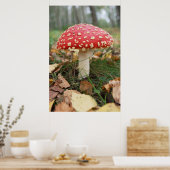 Red Fly Agaric Poster (Keuken)