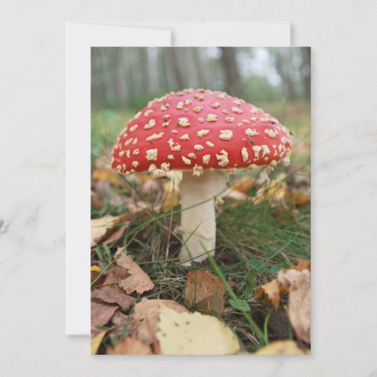 Red Fly Agaric uitnodiging (Voorkant)
