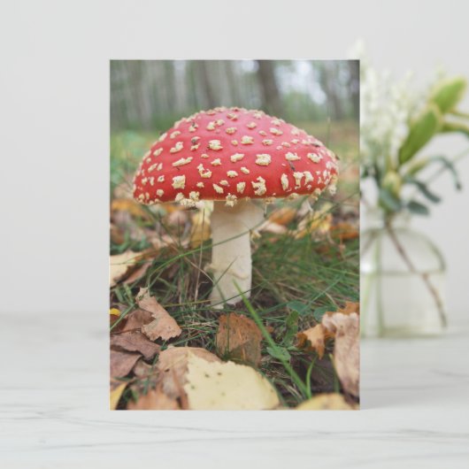 Red Fly Agaric uitnodiging (Staand voorkant)