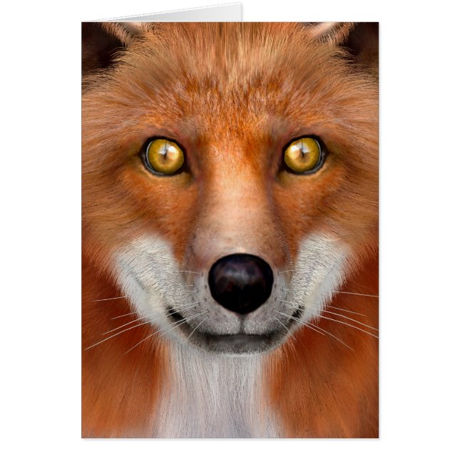 Red Fox (Voorkant)