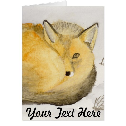 Red Fox (Voorkant)