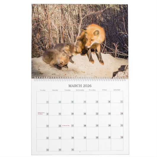 Red Fox 2023 - Agenda Kalender (Mar 2026)