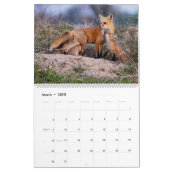Red Fox 2025 Kalender (Mar 2025)