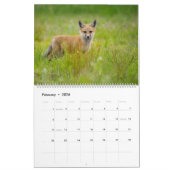 Red Fox 2025 Kalender (Feb 2026)
