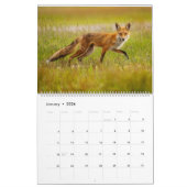 Red Fox 2025 Kalender (Jan 2026)