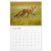 Red Fox 2025 Kalender (Jan 2025)