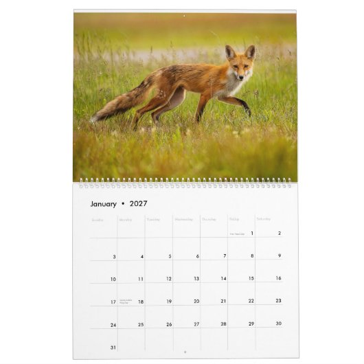 Red Fox 2025 Kalender (Jan 2027)