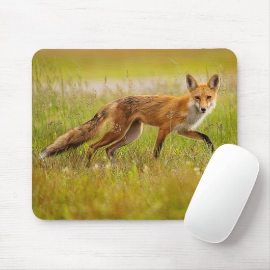 Red Fox Adult Muismat (Met muis)