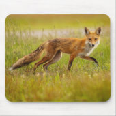 Red Fox Adult Muismat (Voorkant)