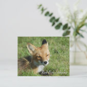 Red Fox Alaska Briefkaart (Staand voorkant)