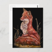 Red Fox Animal Art Tekening Briefkaart (Voorkant / Achterkant)