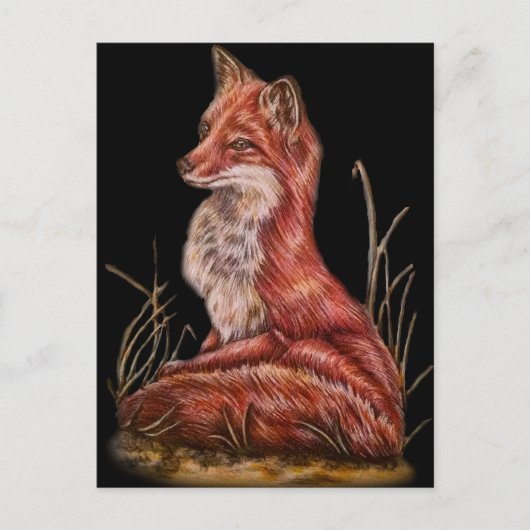 Red Fox Animal Art Tekening Briefkaart (Voorkant)