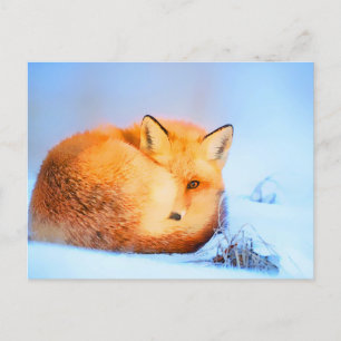 *~* Red Fox AP18 Artistic Painting Wildlife Artsy Briefkaart