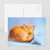 *~* Red Fox AP18 Artistic Painting Wildlife Artsy Briefkaart (Voorkant / Achterkant)