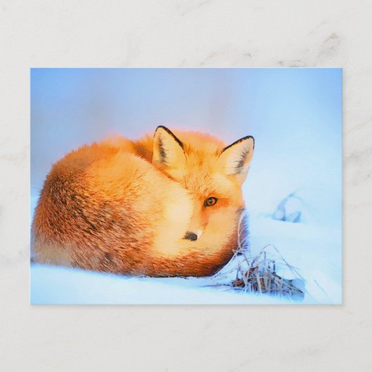 *~* Red Fox AP18 Artistic Painting Wildlife Artsy Briefkaart (Voorkant)