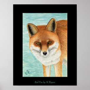 Red Fox Art afdrukken Poster