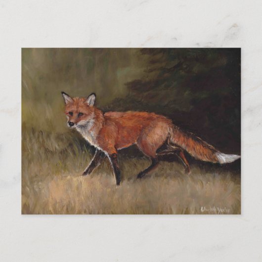 Red Fox Art Briefkaart (Voorkant)