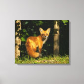 Red Fox Beauty Canvas Afdruk (Voorkant)