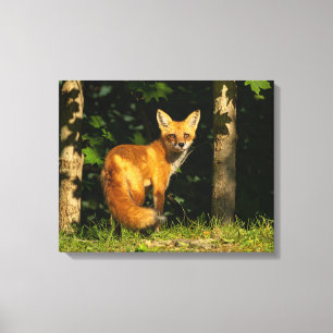 Red Fox Beauty Canvas Afdruk