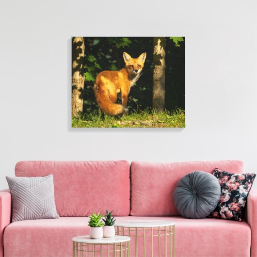 Red Fox Beauty Canvas Afdruk (Insitu (Woonkamer))