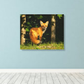 Red Fox Beauty Canvas Afdruk (Insitu (Houten vloer))