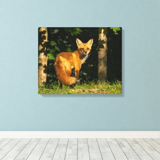 Red Fox Beauty Canvas Afdruk (Insitu (Houten vloer))
