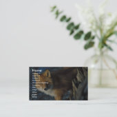 Red Fox bij Shipwreck Courtney Ford Visitekaartje (Staand voorkant)