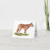 Red Fox Blank Note Card Kaart (Voorkant)
