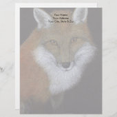 Red Fox Briefhoofd (Voorkant / Achterkant)