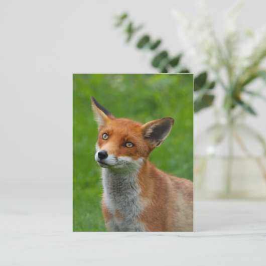 Red Fox Briefkaart (Staand voorkant)