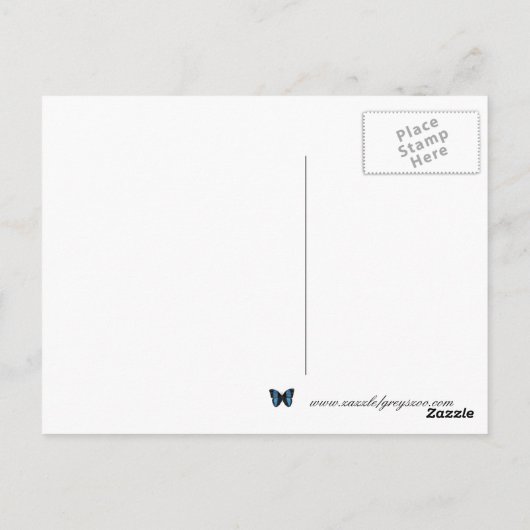 Red Fox  Briefkaart (Achterkant)
