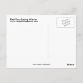 Red Fox Briefkaart (Achterkant)