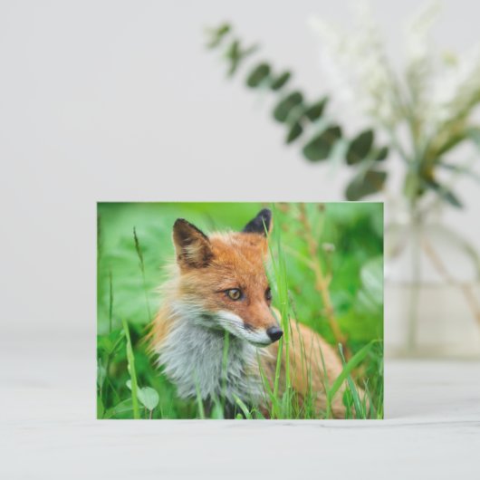 Red Fox Briefkaart (Staand voorkant)