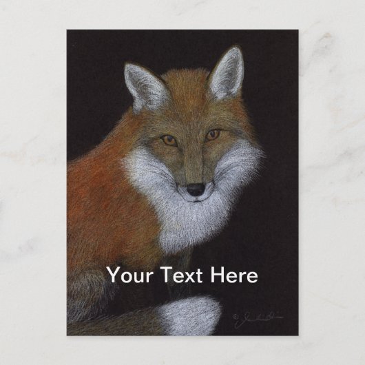 Red Fox Briefkaart (Voorkant)