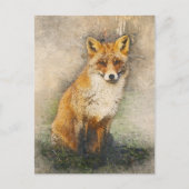 Red Fox Briefkaart (Voorkant)