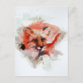 Red Fox Briefkaart (Voorkant)