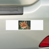 Red Fox Bumpersticker (Op auto)