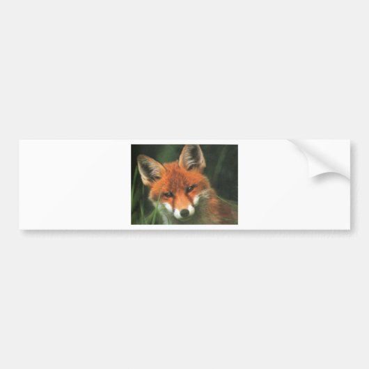 Red Fox Bumpersticker (Voorkant)