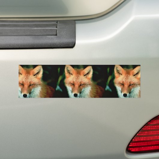 Red Fox Bumpersticker (Op auto)