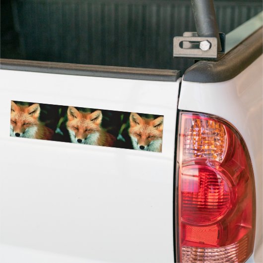 Red Fox Bumpersticker (Op Truck)
